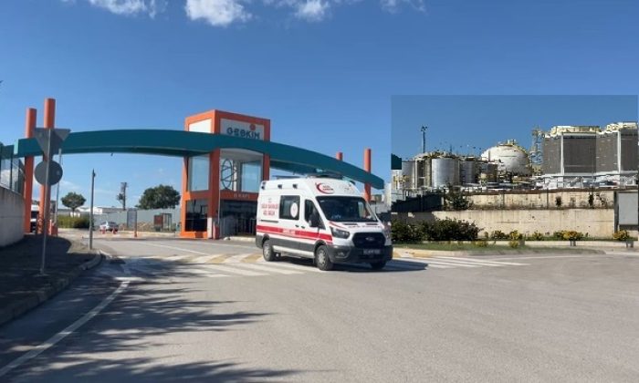 Tataristan Devlet İştiraki TN Maleik Petrokimya’da İş Kazası 2 Ölü