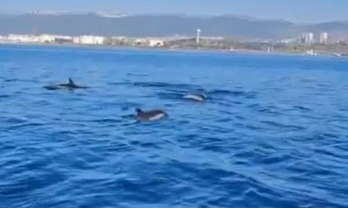 Başkan Büyükakın, Yıllardır verdiğimiz emeğin karşılığını yunuslar dans ederken aldık!