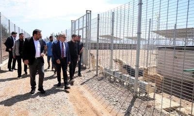 Umuttepe’de 650 köpek kapasiteli yeni barınak hizmete alındı