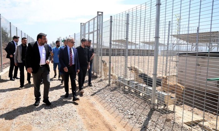 Umuttepe’de 650 köpek kapasiteli yeni barınak hizmete alındı