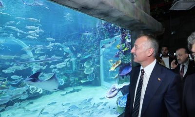 Başkan Büyükakın’dan akvaryum müjdesi,  29 Hazirana kadar ücretsiz olacak!