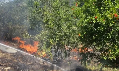 Derince’de çıkan yangın korkuttu!