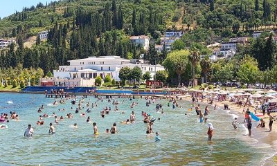 Nemden Bunalan Karamürsel Sahiline Koştu