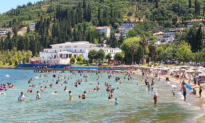 Nemden Bunalan Karamürsel Sahiline Koştu