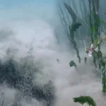 Sapanca Gölü’ndeki pamuksu yapının ne olduğu açıklandı