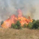 Gebze’de orman yangını büyüyor: Ev, çiftlik ve villalar için alarm