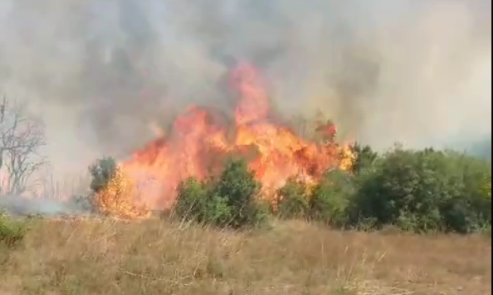 Gebze’de orman yangını büyüyor: Ev, çiftlik ve villalar için alarm