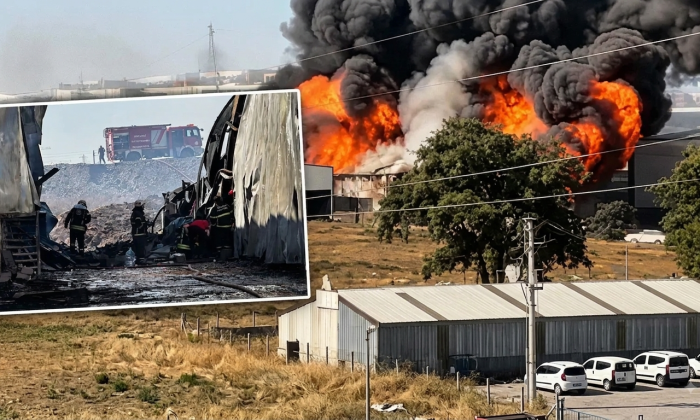 Gebze’de Kimya Fabrikasında Korkutan Yangın: 2 İşçi Yaralı, 2 At Telef Oldu!