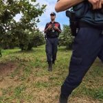 Kandıra’da Fındık Tarlalarına Jandarma Takibi