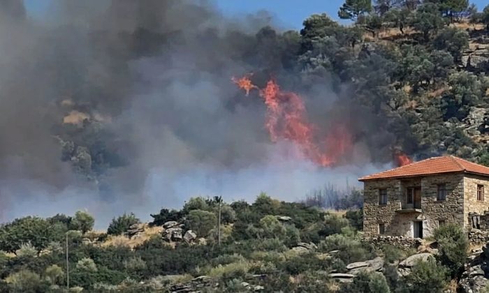 Gebze’de orman yangınında kritik alarm: BOTAŞ tesisi için tahliye tedbiri