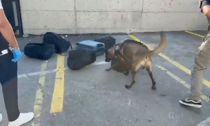 Gebze’de Dev Narkotik Operasyonu: 21 Bin Sentetik Ecza Ele Geçirildi, 2 Zehir Taciri Tutuklandı