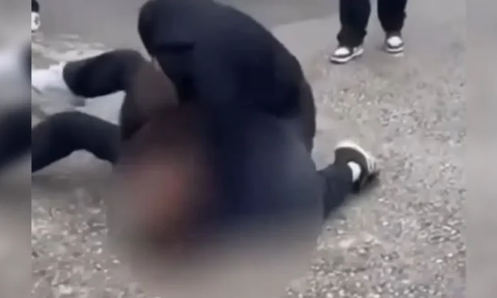 Liseli kızların kavgasını horoz dövüşü gibi izlediler!