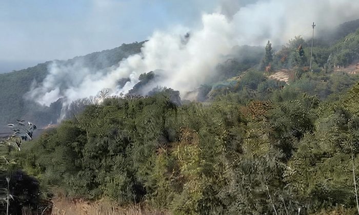 Gebze’de ormanlık alan yangını: Kundaklama şüphesi mi?