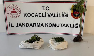Zehir tacirlerine darbe,  Bin 12 uyuşturucu hap ele geçirildi