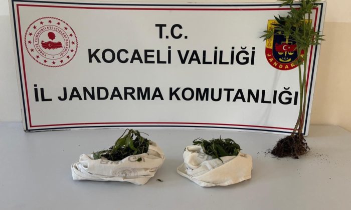 Zehir tacirlerine darbe,  Bin 12 uyuşturucu hap ele geçirildi