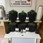4 ilçede uyuşturucu operasyonu